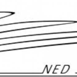 Ned Ship Group