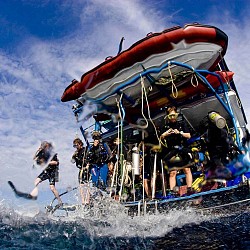 Aussie Divers Scuba Diving PADI 5 Star IDC Centre in Phuket
