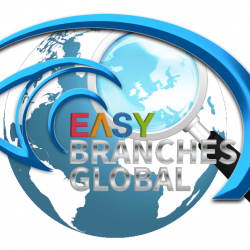 Easy Branches Global Team Web Development with Custom Programming and own Developed Software